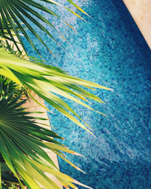 כל מה שצריך לדעת על בריכות לגינה